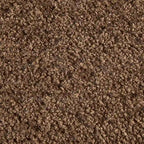 Banc de rangement Bailey Taupe Boucle à couvercle rabattable